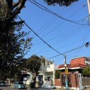 화북초교 | [제주/카페] 키에키 커피 스탠드 │ 여행 중 제대로 쉬어간 커피 맛집 후기