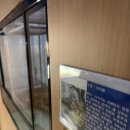 자연아 놀자 | 강릉 생태체험박물관 자연아놀자 솔직 후기 비용, 장단점