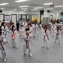 정인태권도 이미지