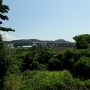 서호동-7 이미지