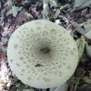 빈이농장 이미지