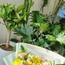 내성지구대 이미지