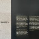 용인 호암 미술관 김윤신: 합이합일 분이분일, 전시관람후기