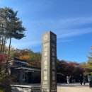 정릉65 | 세계유산 조선왕릉 선릉과 정릉 방문!(요금,무료개방,후기)