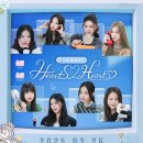 하츠 티브이데일리
