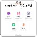 청구어린이집 | 카카오페이 영유아보험 | 보장, 가입부터 실제 청구 후기