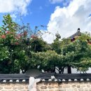 공원마을2길39 | [왓츠인마이블로그] 전주 뚜벅이 여행 코스 추천1 (전주한옥마을/전주객사)