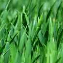 (주)골드그린환경 이미지