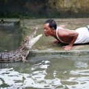 나라농장 이미지