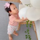 플라플라스튜디오