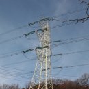 시 월 보름 날 운세 이미지