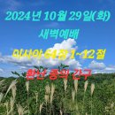 2024년 10월 29일(화) 새벽예배 이사야 64장 1~12절 환난 중의 간구 이미지