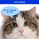 사랑애완동물병원 이미지