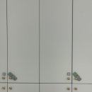 체리체형관리 이미지