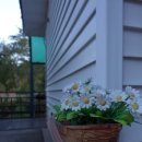 어쩌다 펜션 이미지