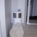 홈스마트 | 고양이 자동급식기｜앱연동 헤이홈 스마트 펫 급식기로 갈아탄 후기