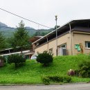 내면사무소 이미지