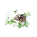 사랑니치과의원 이미지