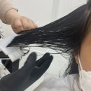 헤어캐슬미용실 - 양천구 신월동 | 헤어캐슬미용실