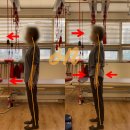 온스바디 이미지