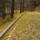 산책길-1 이미지