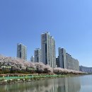 미락하누 | [결혼준비 기록 #1] 첫 인사 드리기