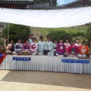 산약초와 한방차 이미지