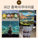 바다로간쏘가리 | 청주 근교 괴산 충북아쿠아리움 아이랑 가볼만한곳 후기
