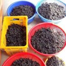 이기영농장 이미지