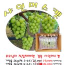 부모님이 직접재배한 샤인머스켓 2Kg - 19,000원 3Kg - 26,000원 4Kg - 34,000원 이미지