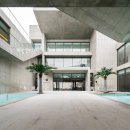 스테이바이브