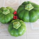 시암농장 이미지