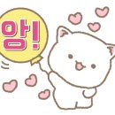 박형아는뜨개쟁이아카데미