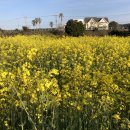 한담 애 이미지