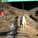 둔덕LPG충전소 이미지