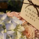 티파니헤어샾(#)