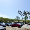 서아농장 | 파주 아이와 가볼만한곳: 우농 타조농장