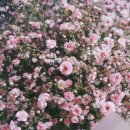 도우리피트니스 검암점 이미지