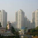 개나리공인중개사사무소 이미지