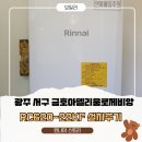 아델리움＆로제비앙아파트경로당 | 서구 금호동 아델리움로제비앙 아파트 보일러 교체｜콘덴싱 보일러 고장으로 린나이 RC620-22KF 설치 후기