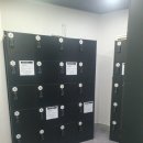 스터디고 가톨릭대점 이미지