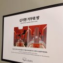 박물관은살아있다 | 제주 박물관은 살아있다 방문 후기_비 오는 날 실내 데이트 추천