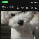 벌교엔마트 이미지