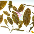 대평고등학교 이미지