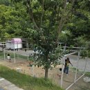 도화지오토캠핑장 | 경산 도화지 오토캠핑장