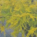 경주감성숙소 스테이 반월 이미지