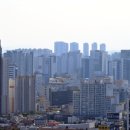 영남 부동산중개컨설팅 이미지