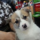 세광상사 이미지