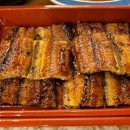 오늘도 장어 이미지