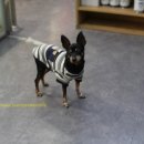 열린24시동물병원 이미지